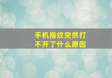 手机指纹突然打不开了什么原因