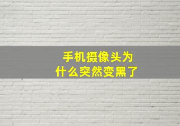 手机摄像头为什么突然变黑了