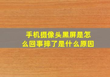 手机摄像头黑屏是怎么回事摔了是什么原因