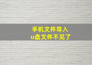 手机文件导入u盘文件不见了