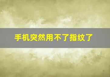 手机突然用不了指纹了