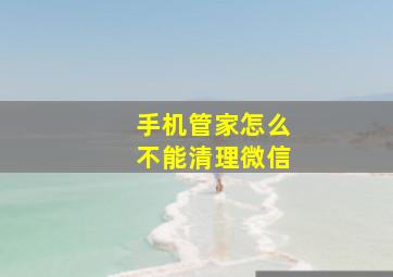 手机管家怎么不能清理微信