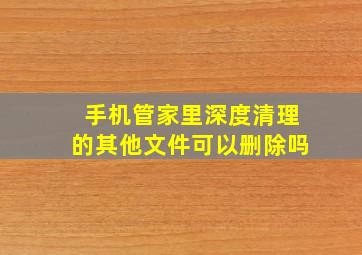 手机管家里深度清理的其他文件可以删除吗