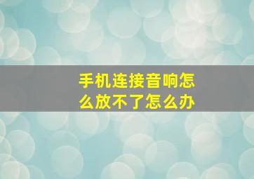 手机连接音响怎么放不了怎么办