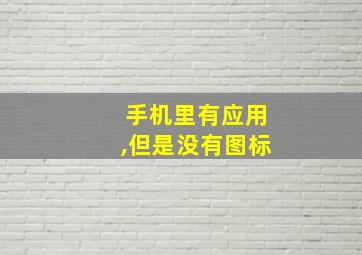 手机里有应用,但是没有图标