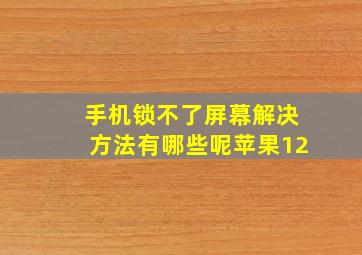 手机锁不了屏幕解决方法有哪些呢苹果12