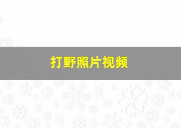 打野照片视频