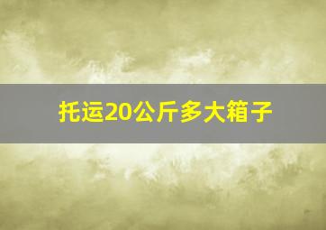 托运20公斤多大箱子