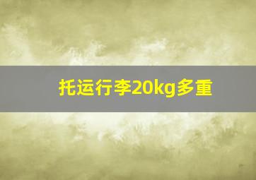 托运行李20kg多重