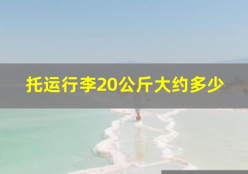 托运行李20公斤大约多少