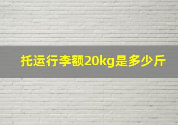 托运行李额20kg是多少斤