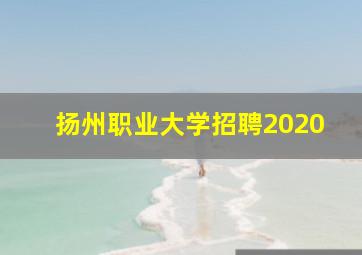 扬州职业大学招聘2020