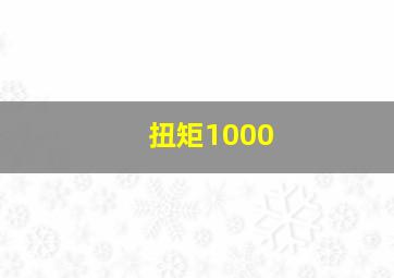 扭矩1000