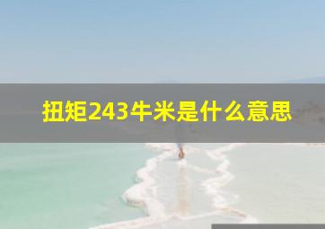 扭矩243牛米是什么意思