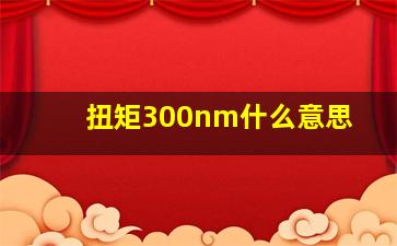 扭矩300nm什么意思