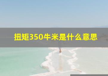 扭矩350牛米是什么意思