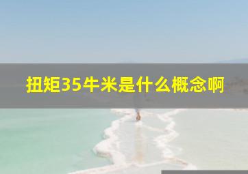 扭矩35牛米是什么概念啊