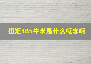 扭矩385牛米是什么概念啊