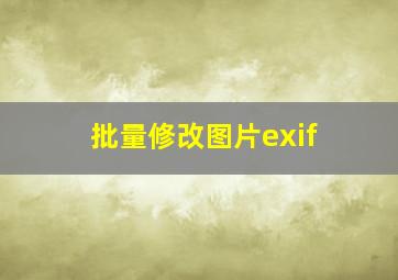 批量修改图片exif