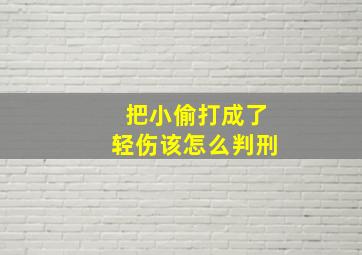 把小偷打成了轻伤该怎么判刑