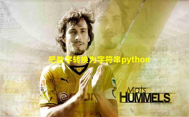 把数字转换为字符串python