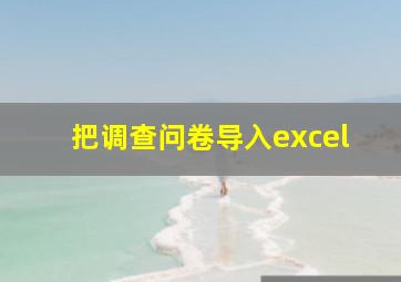 把调查问卷导入excel