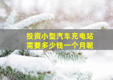 投资小型汽车充电站需要多少钱一个月呢