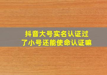 抖音大号实名认证过了小号还能使命认证嘛