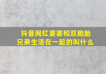 抖音网红婆婆和双胞胎兄弟生活在一起的叫什么