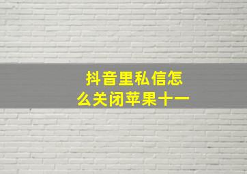 抖音里私信怎么关闭苹果十一