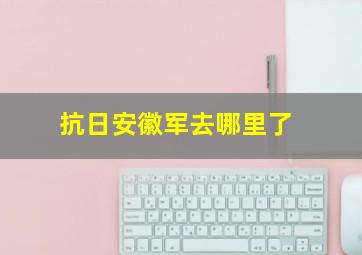 抗日安徽军去哪里了