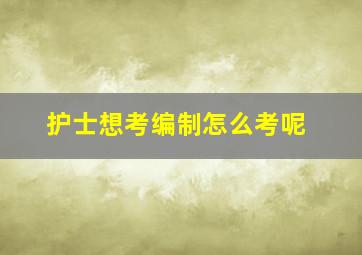 护士想考编制怎么考呢