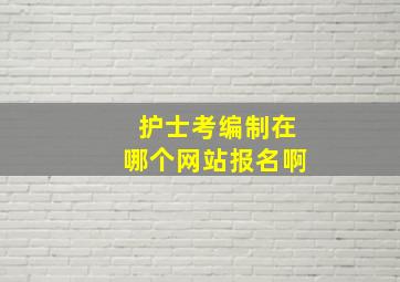 护士考编制在哪个网站报名啊