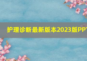 护理诊断最新版本2023版PPT