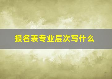 报名表专业层次写什么