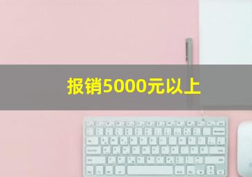 报销5000元以上