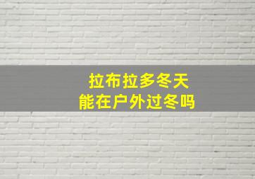 拉布拉多冬天能在户外过冬吗