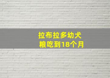 拉布拉多幼犬粮吃到18个月