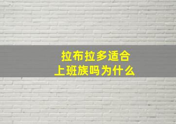 拉布拉多适合上班族吗为什么