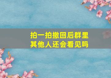 拍一拍撤回后群里其他人还会看见吗