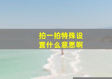 拍一拍特殊设置什么意思啊