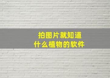 拍图片就知道什么植物的软件