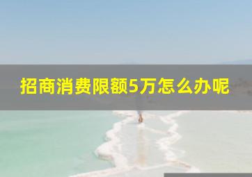 招商消费限额5万怎么办呢