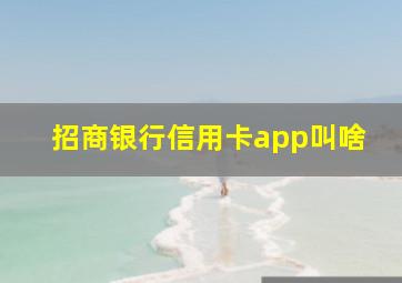 招商银行信用卡app叫啥