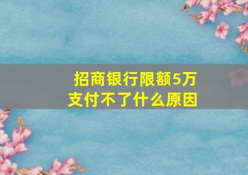 招商银行限额5万支付不了什么原因