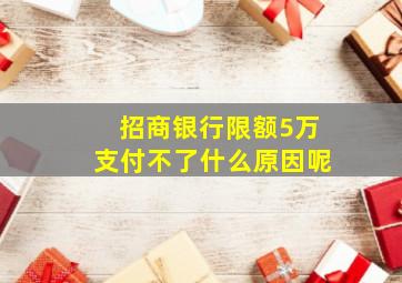 招商银行限额5万支付不了什么原因呢