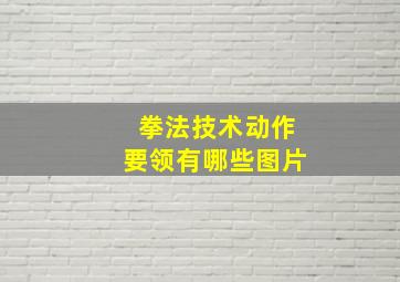 拳法技术动作要领有哪些图片