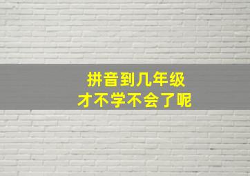 拼音到几年级才不学不会了呢