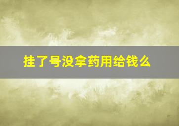 挂了号没拿药用给钱么