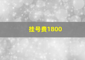 挂号费1800